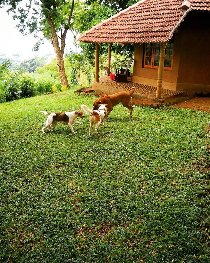 Pepper Hills Cottages Элла Экстерьер фото